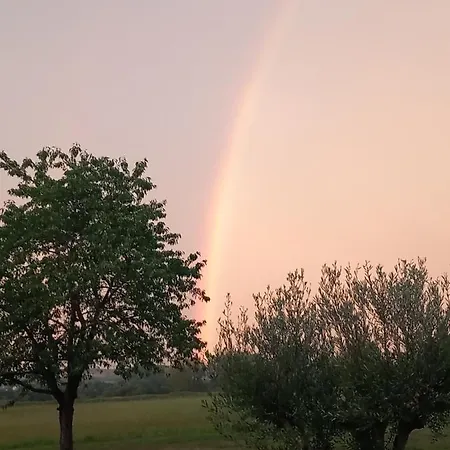 La Clef Des Champs דירה Morsbronn-les-Bains